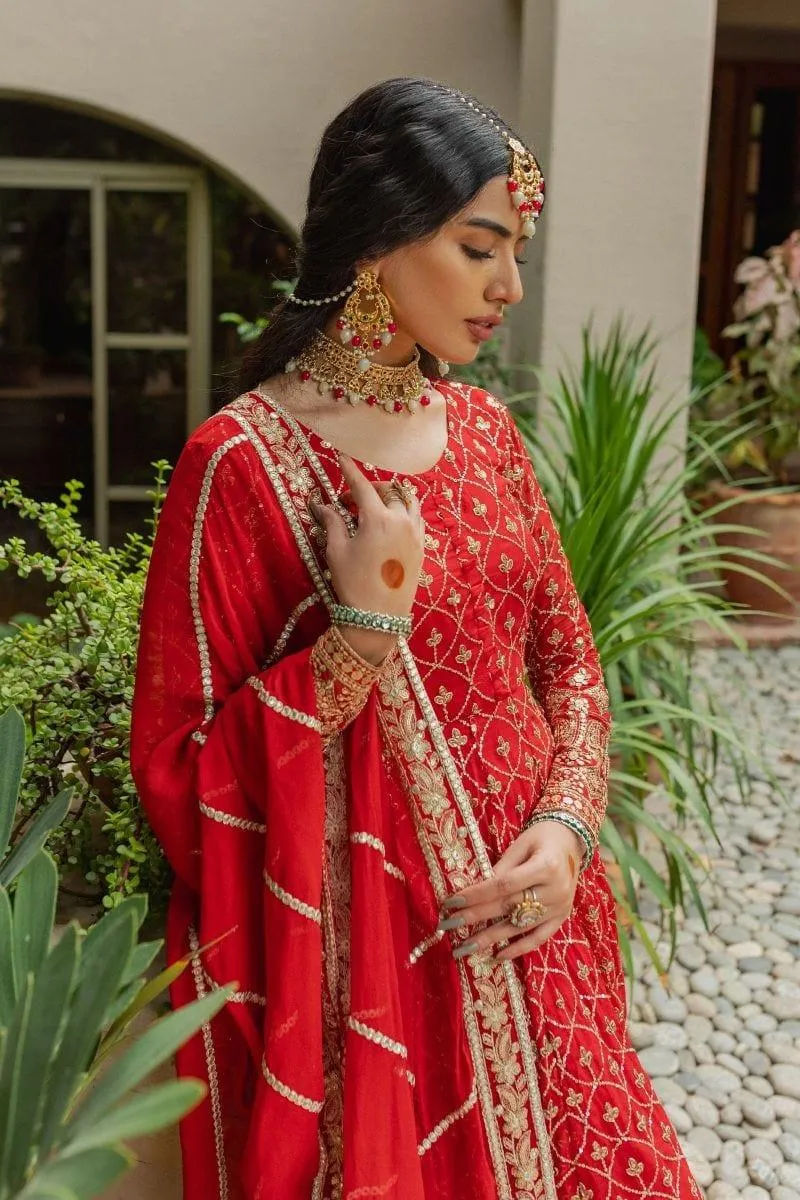 Allure by Ih - AMAL - Chiffon - Red - 4 Piece