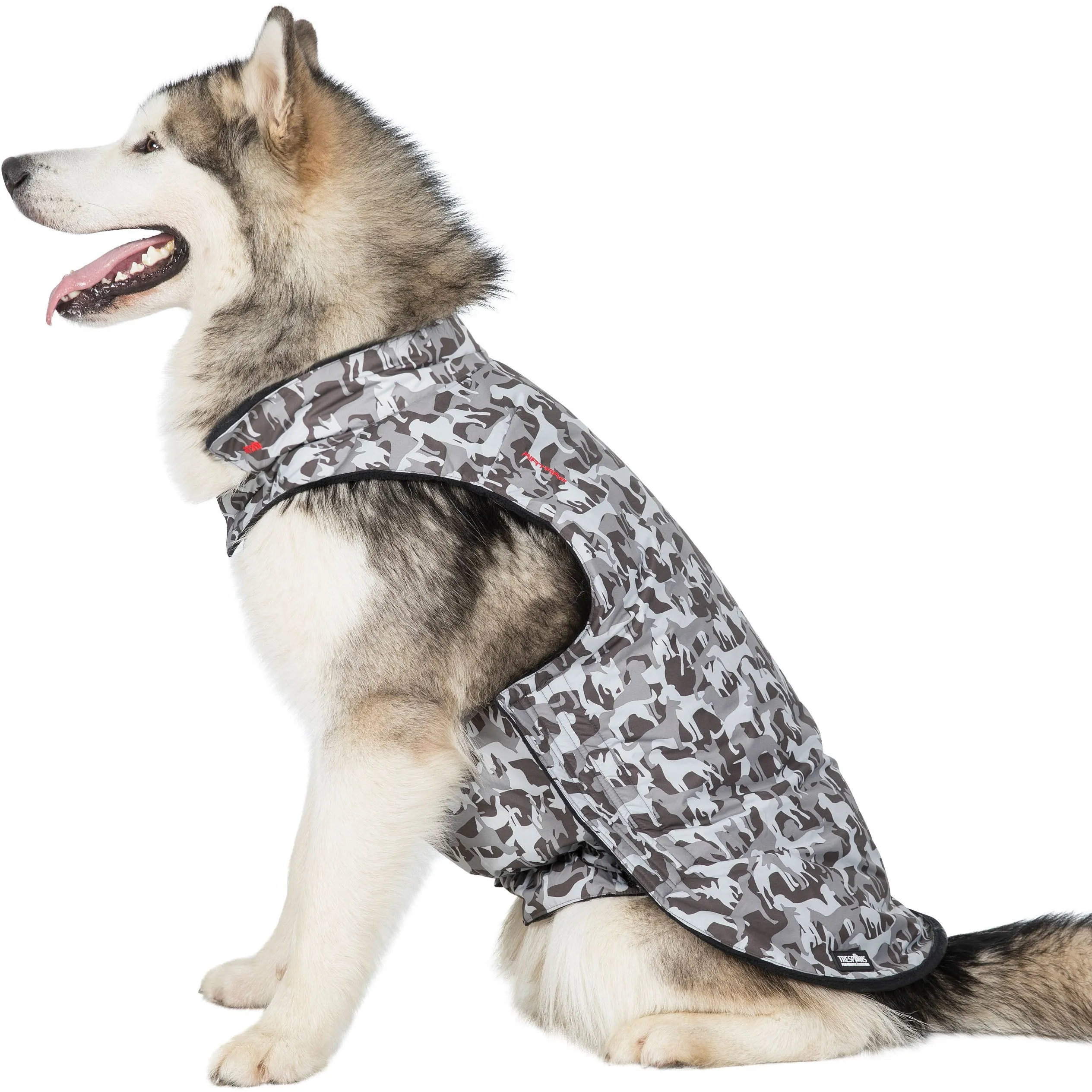 Charly Printed Waterproof Dog Coat in Camo Style