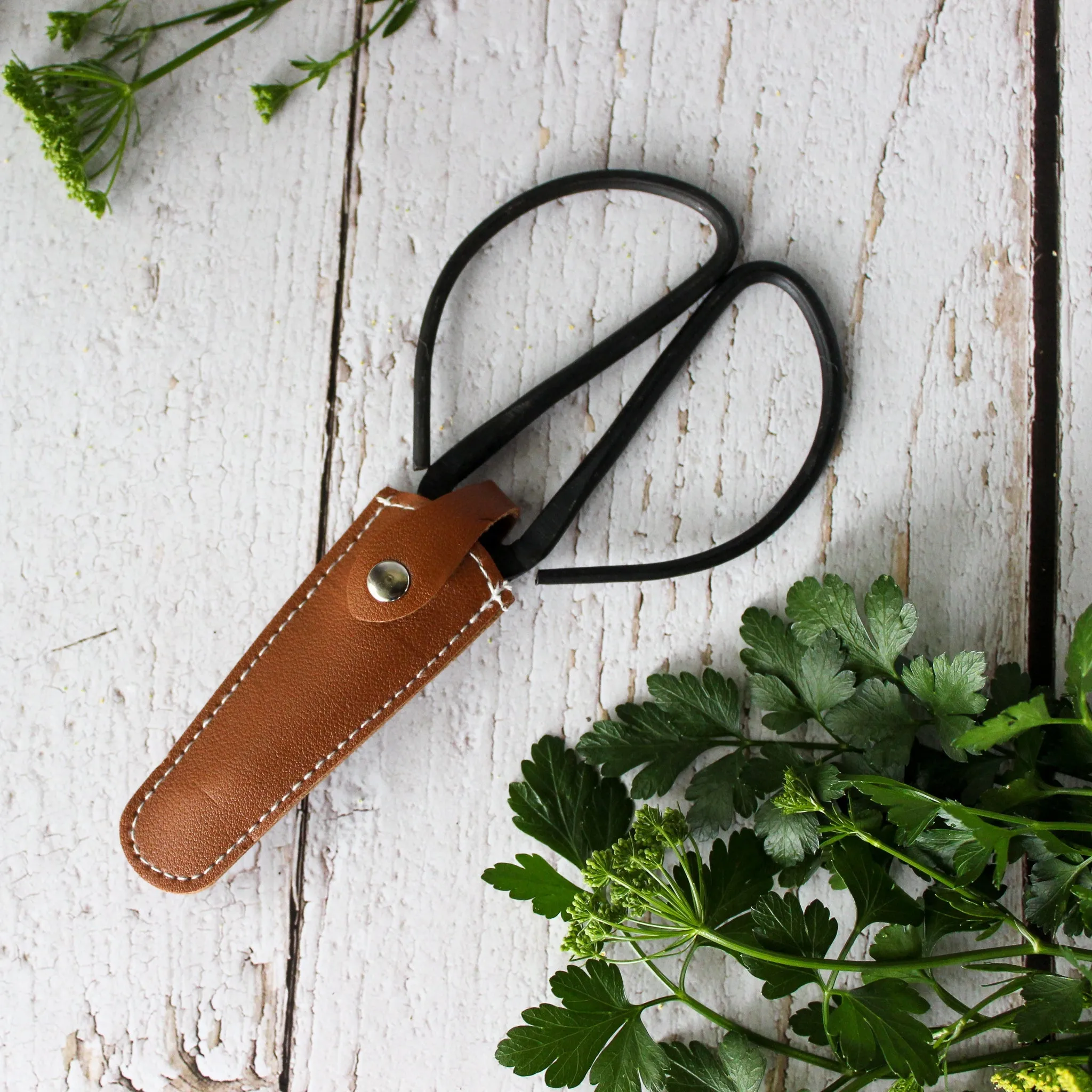Garden Harvest Scissors