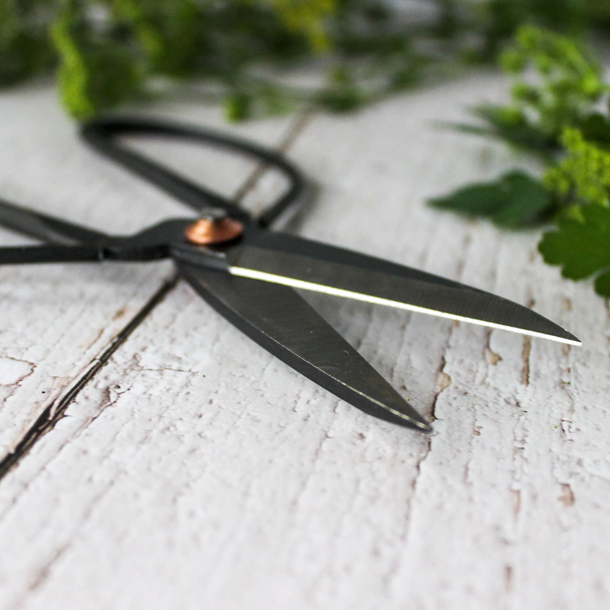 Garden Harvest Scissors