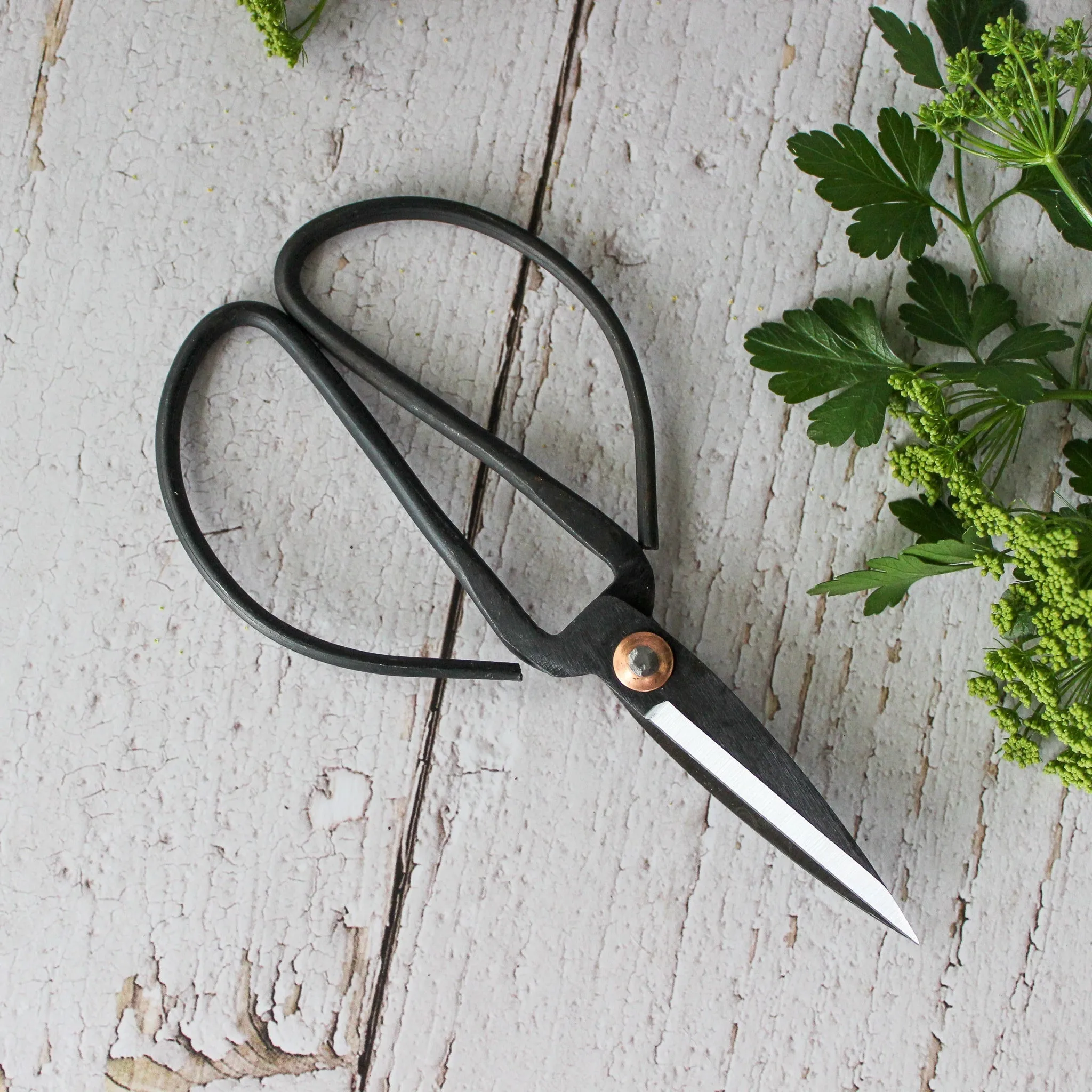 Garden Harvest Scissors